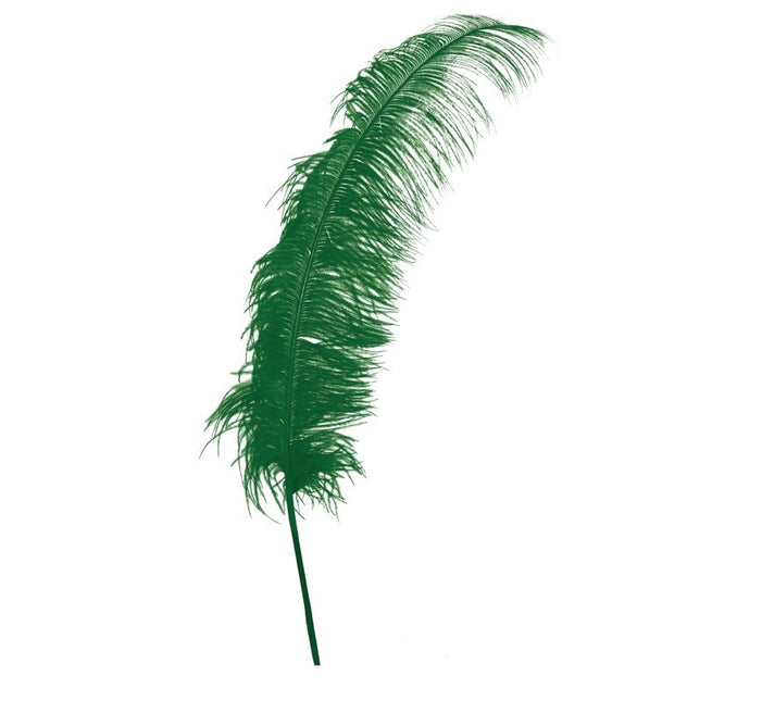 Plumas de avestruz verdes 50cm 12uds.