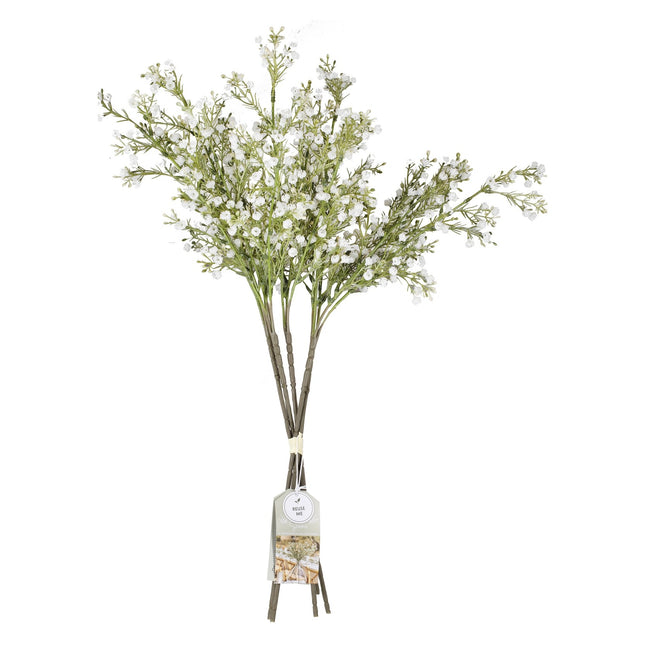 Flores secas Gypsophilia Tallos 40cm 5pcs