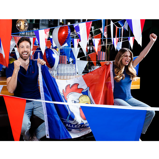 Línea de bandera Francia 10m