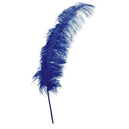 Plumas de avestruz azules 50cm 12uds.