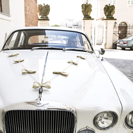 Set Decoración Coche Lazos de Boda