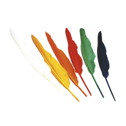 Plumas indias 12 piezas