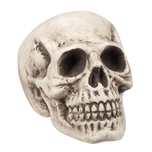 Calavera de Halloween 31cm