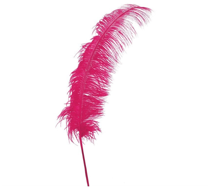 Plumas de avestruz rosa 50cm 12uds.