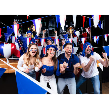 Palo Schmink Bandera de Francia