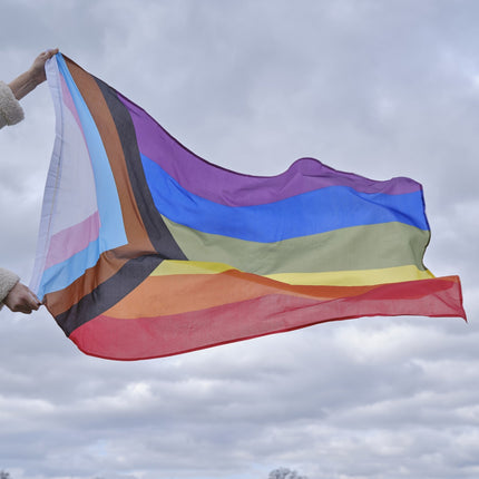 Bandera Vivir en Paz 23cm