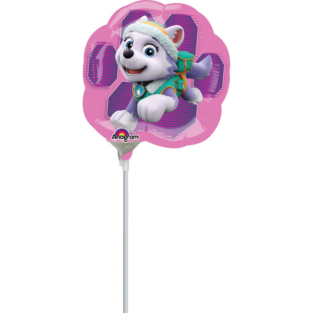 Globo de la Patrulla Canina Skye y Everest Mini 23cm