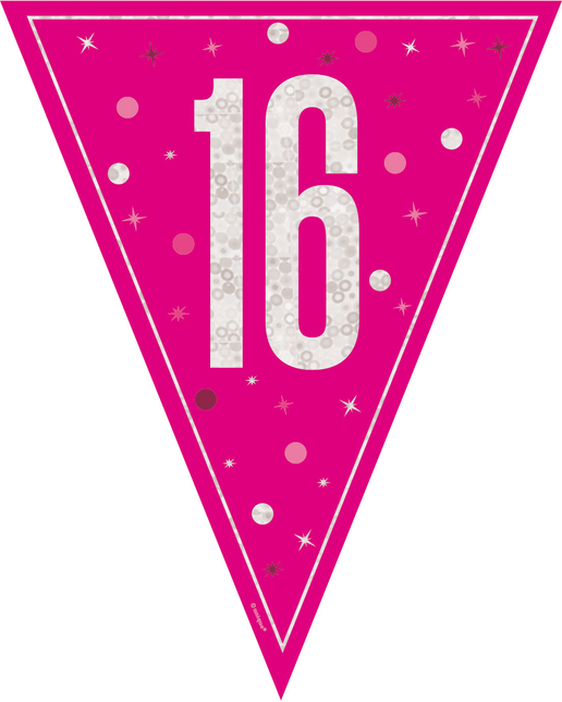 16 Años Guirnalda Rosa 2,5m