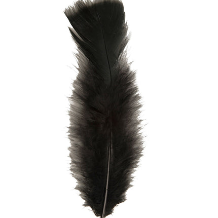 Plumas negras 50 unid.