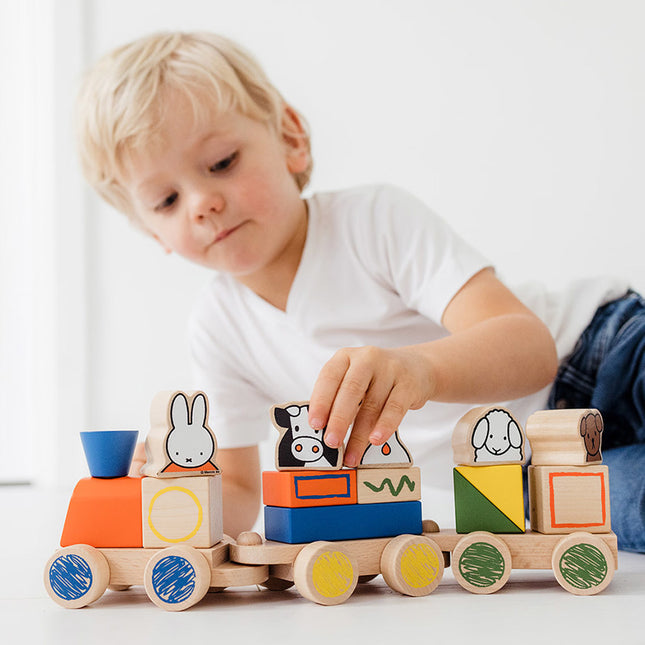 Tren de bloques Miffy