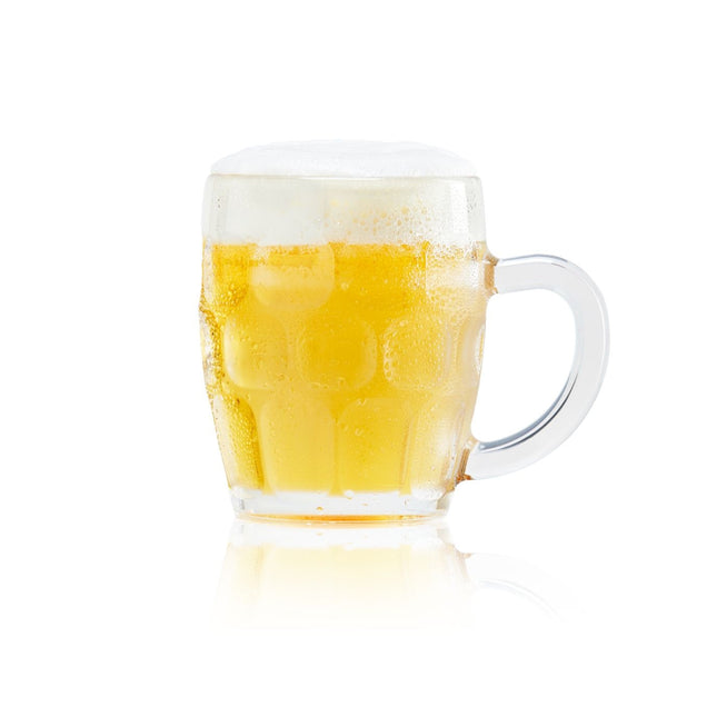 Cerveza Stein Plástico 350ml