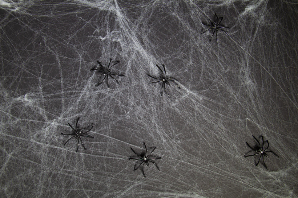 Tela de araña de Halloween 6 arañas