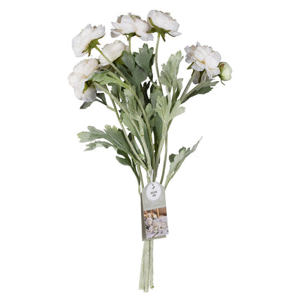 Flores secas Rancula Tallos 45cm 3pcs