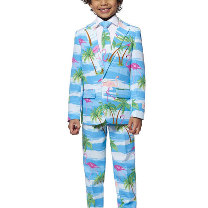 Traje Hawai Niño Flamingo