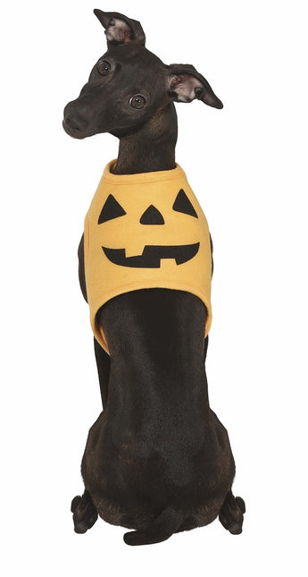 Halloween Animales Disfraz Calabaza Mascota