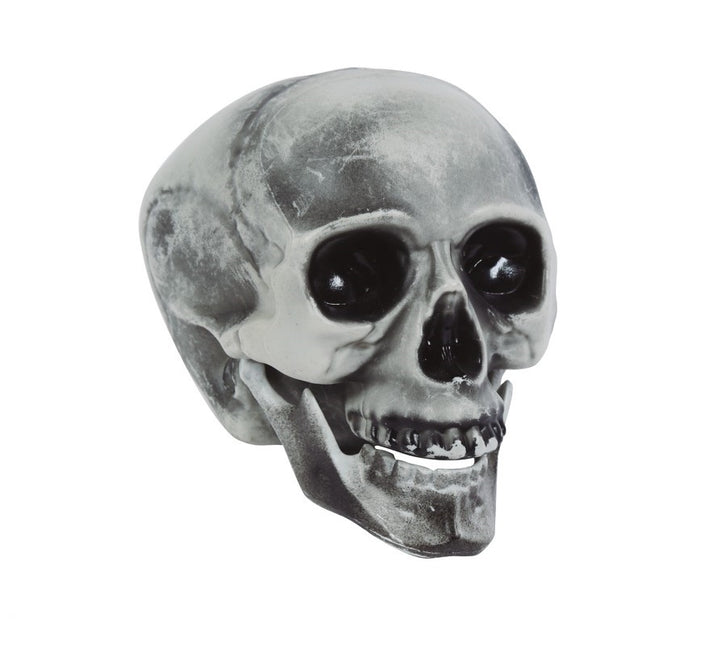 Calavera Halloween Gris 20cm