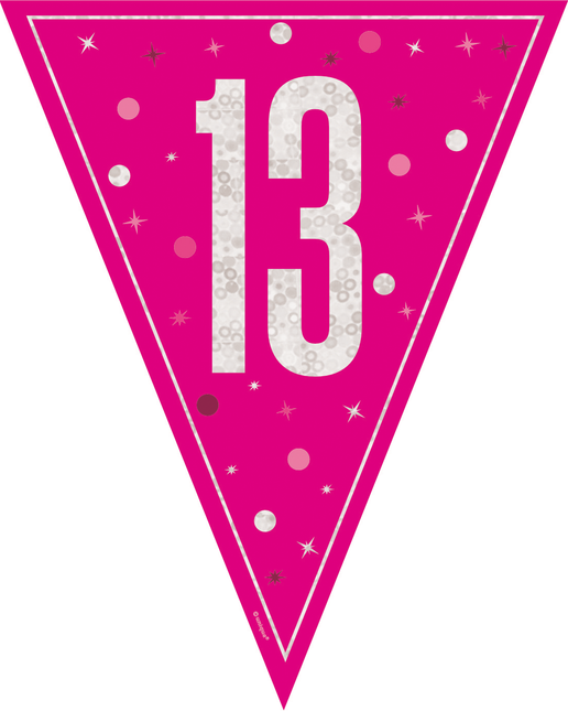 13 Años Guirnalda Rosa 2,5m