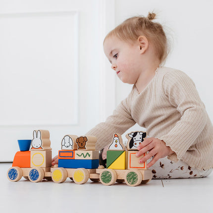 Tren de bloques Miffy