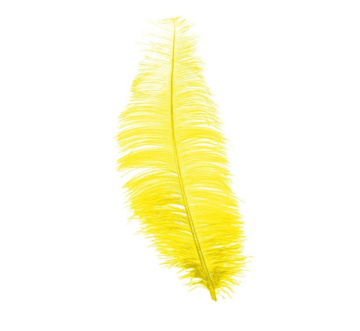 Plumas de avestruz amarillas 30cm 12uds.