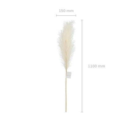 Flores secas Pampas 1,1m