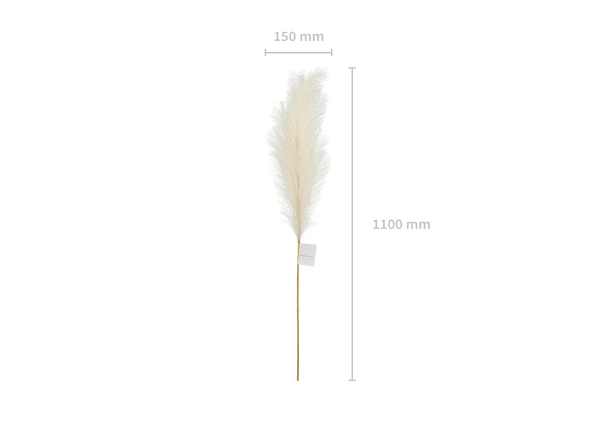 Flores secas Pampas 1,1m