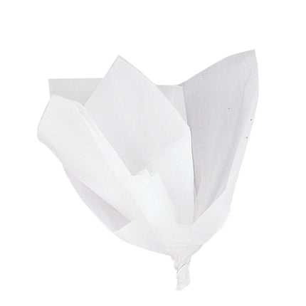 Papel secante blanco 31cm 10uds.