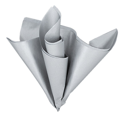 Papel secante Plata 30,6cm 5uds.