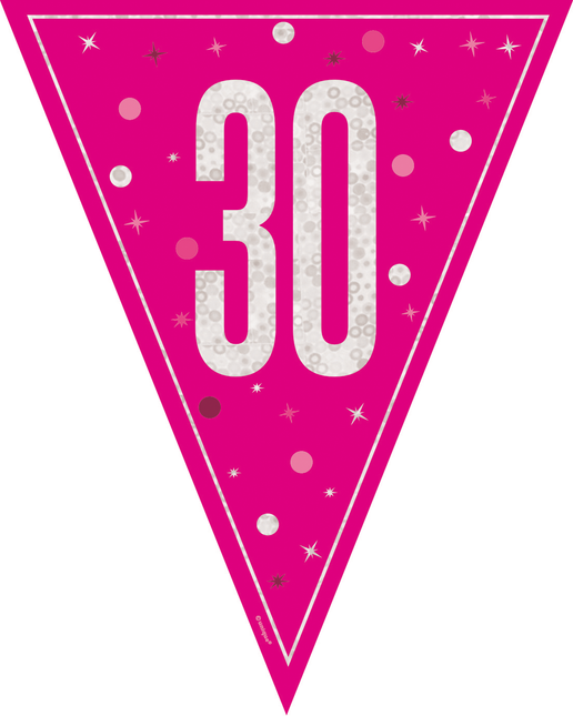 30 Años Guirnalda Rosa 2,5m