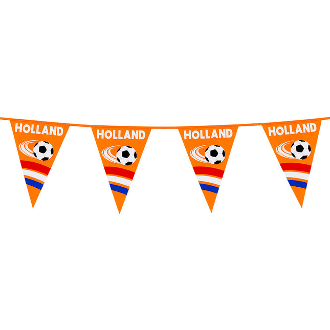 Guirnalda de Holanda 6m